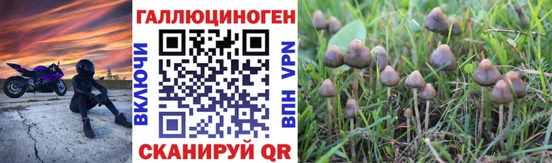 Галлюциногенные грибы мухоморы  Волосово 